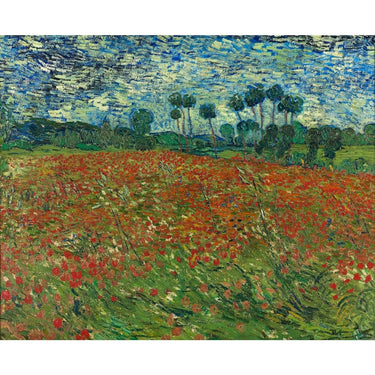 Poppy Flowers Canvas Van Gogh